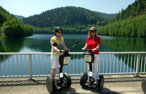 4 Sterne Ferienwohnung Sorbitztal inklusive Gästekarte - Foto 30