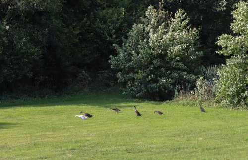 Binneford Barn - Foto 38