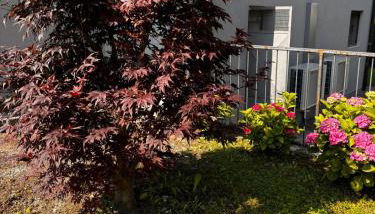 Casette Airport LILLY - Photo 3, Garden, Garden view