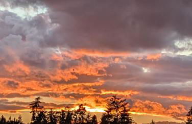 Unser Woidhaisl - idyllisches Ferienhaus im Bayerischen Wald - Foto 22