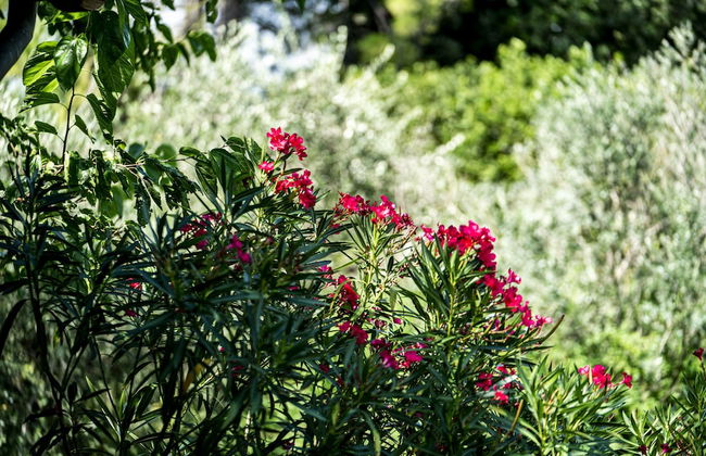 Agriturismo Le Chiusure - Foto 56