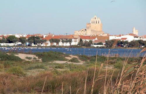 Maison au bord de mer - Foto 33