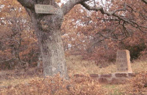 La Cabaña - Foto 38