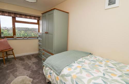 Blaenferwig - Photo 16