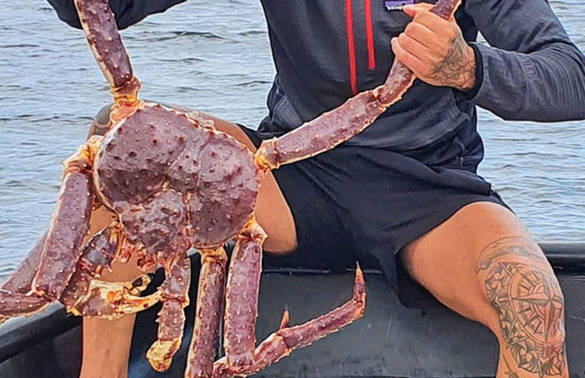 7 Person Holiday Home in Jarfjord-by Traum - Photo 11