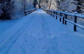 FLAMBOYANT - Foto 27