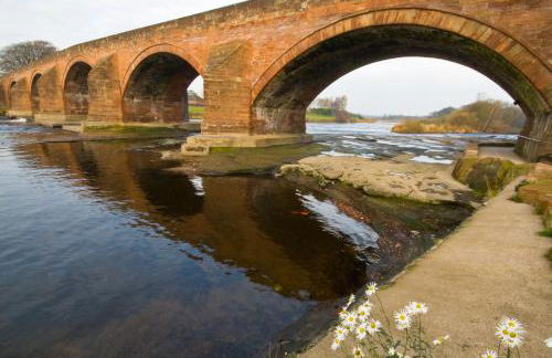 Pheasant Lodge Scottish Borders - Foto 19