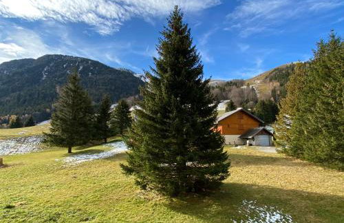 Superbe studio de montagne, au pied des pistes de ski, classé 3 étoiles - Foto 25
