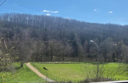 Joli appartemen Avec Vue Sur Vienne - Foto 11