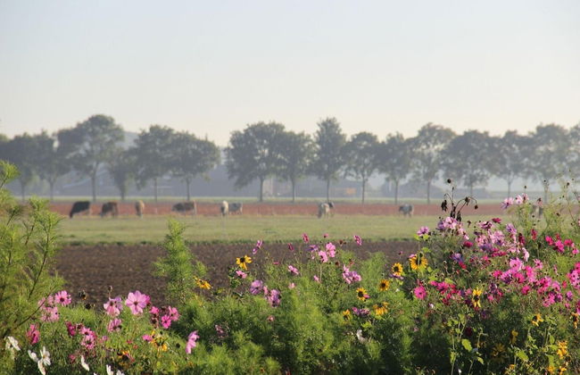 Refined Holiday Home in Guelders near Forest - Foto 32