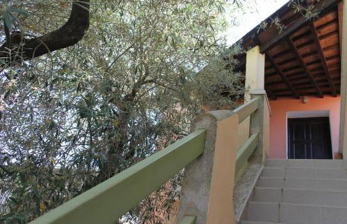 Domaine Le Clos des Oliviers - Foto 27