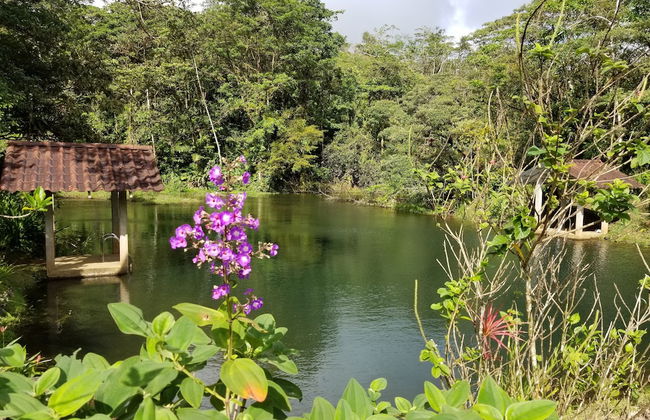 CRParaiso Main House - Foto 21