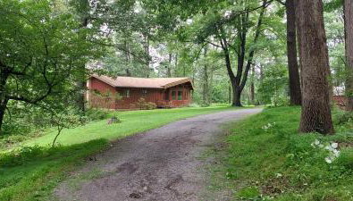 Forest View - Foto 4