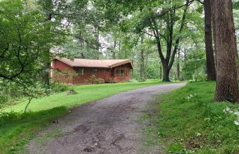 Forest View - Foto 4