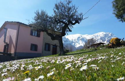 La via del parco - Foto 1