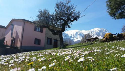 La via del parco - Foto 1, Garden view, Other