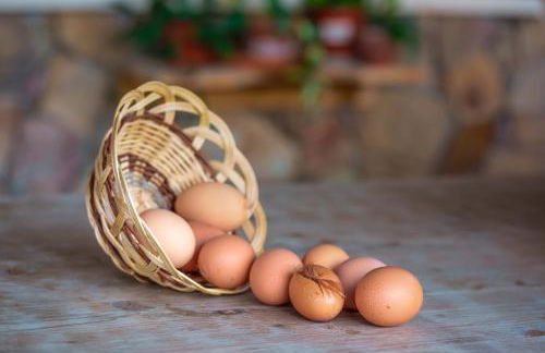 L'Oasi del Cervo - Foto 23