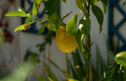 Appartement Chaleureux avec Jardin proximité Métro - Foto 35