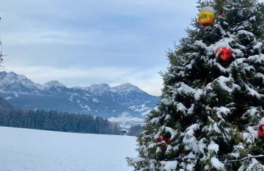 Appartements Wiesenheim - Foto 51