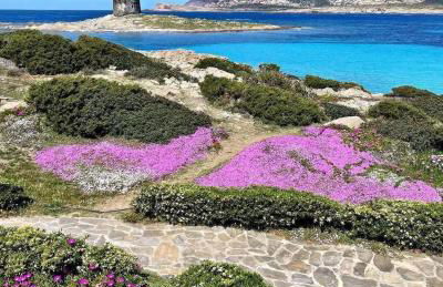 Appartamento Scoglio Lungo - Foto 20