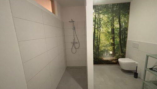 Ferienwohnung Eifelgrün Heimbach - Foto 4, Shower