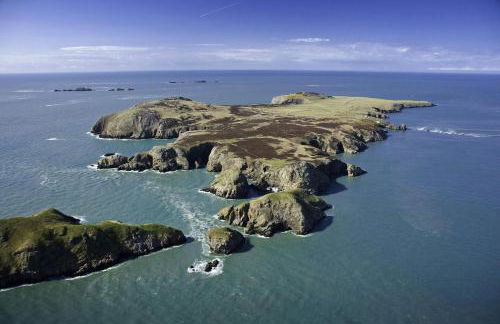 The Croft St Davids - Foto 35