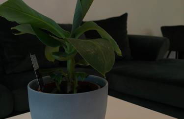 Luxury City Apartment in Munich - Photo 27