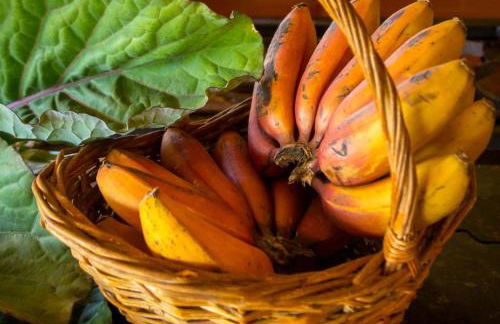 Pousada Dudu Ville - Photo 27