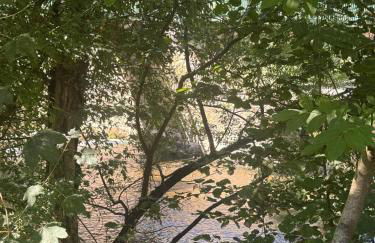 Le Moulin de Rochopt - Photo 5