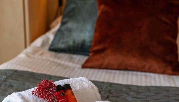 Superb Apartment in the Dunes of Oostduinkerke - Foto 5, Habitación