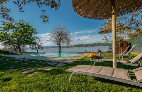 La Folaga del Trasimeno - Photo 6