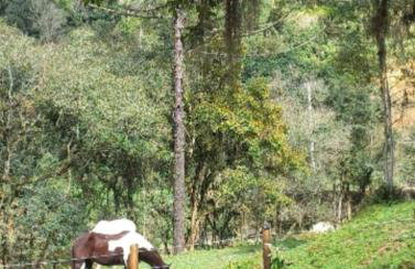 Cabanas do Rio - Photo 35