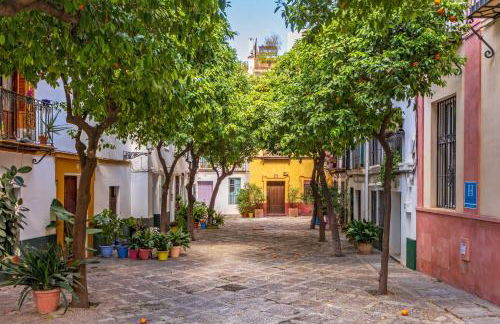 Duplex con Terraza Privada y vistas a la Catedral - Photo 59