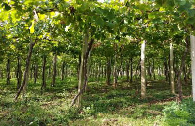 OFERTA ESPECIAL ÚLTIMA HORA - SARAKATUA15 - vistas espectaculares - familias y parejas - 2 dormitorios independientes - amplio salón cocina comedor - tarjeta parking OTA GRATIS - Julio y agosto estancia mínima 7 noches de domingo a domingo - - Foto 71