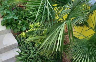 La Catedral - Foto 52