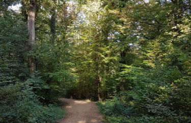 Familiehuis Dolve - Foto 136