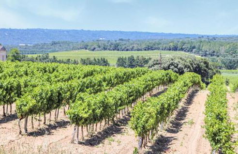 3 Bedroom Beautiful Home In Espeluche - Foto 25