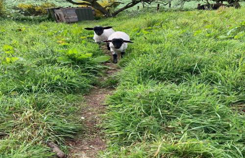 3 Bed in Perth oc-86058 - Foto 18