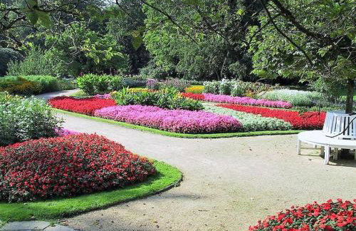 *F2BR* for your most relaxed & Cosy stay + Free Parking & WiFi - Foto 24