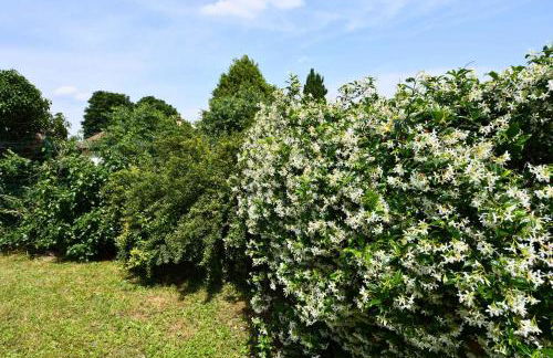 Holiday home in Castelnuovo del Garda - Gardasee 54558 - Foto 33