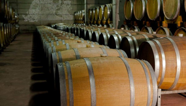 Degustazione di vino a Chiuro - Photo 4