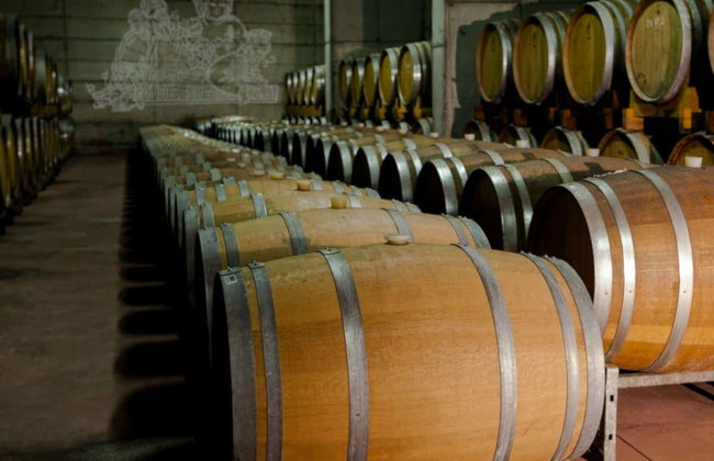 Degustazione di vino a Chiuro - Foto 4