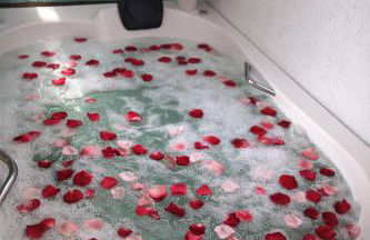 Chalé com Jacuzzi e churrasqueira em Florianópolis - Photo 26