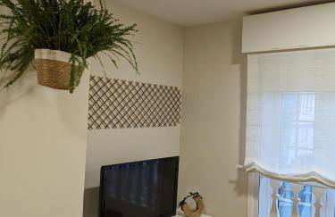 La Mimosa - Photo 16