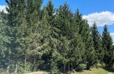 Lunatykowa Chata - Photo 46