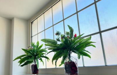 Fiori e Farfalle - Casa Vacanze - Foto 7