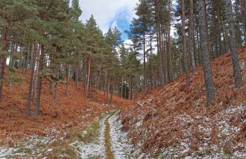 Redburn Steading - Foto 44