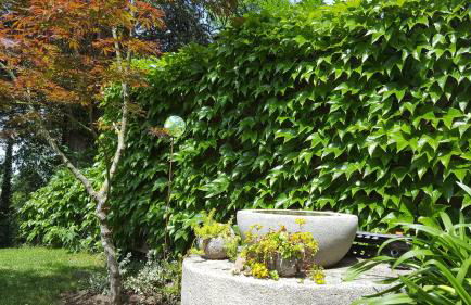 Ferienwohnung am Bruchwald - Foto 16