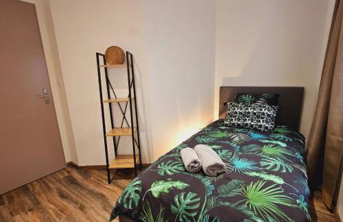 Mitrons - 1A - Photo 19