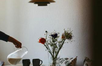 Staudingerhof - Photo 17